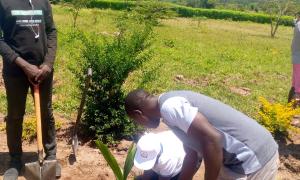 Tree planting @ Kisumu Rarieda team from Ketrb lead by Madam CEO