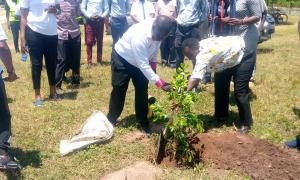 Tree planting  at Rarieda TVET, Kisumu County led by  the  CEO KETRB