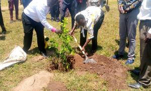 Tree planting  at Rarieda TVET, Kisumu County led by  the  CEO KETRB