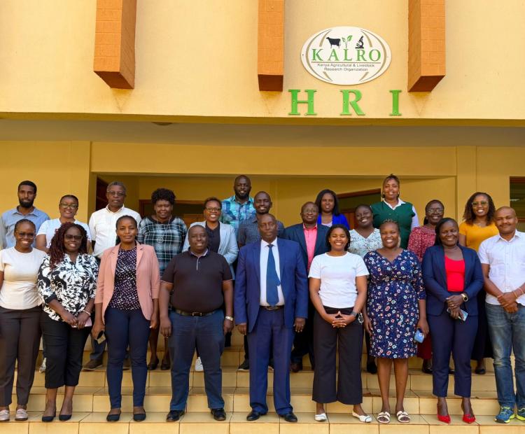 Roads Sub-Sector embarks on communication strategy roadmap